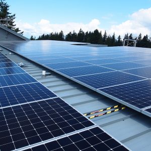 Everett Safe Streets